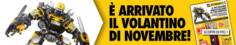 Volantino Novembre CESENA